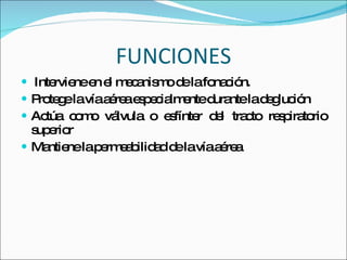 FUNCIONES Interviene en el mecanismo de la fonación. Protege la vía aérea especialmente durante la deglución Actúa como válvula o esfínter del tracto respiratorio superior Mantiene la permeabilidad de la vía aérea 