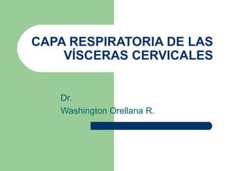 CAPA RESPIRATORIA DE LAS VÍSCERAS CERVICALES Dr. Washington Orellana R. 