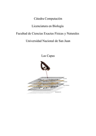 Cátedra Computación
Licenciatura en Biología
Facultad de Ciencias Exactas Físicas y Naturales
Universidad Nacional de San Juan
Las Capas
 