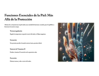 Funciones Esenciales de la Piel: Más
Allá de la Protección
Además de su rol protector, la piel realiza una variedad de funciones cruciales para el equilibrio y
bienestar de nuestro cuerpo.
Termorregulación
Regula la temperatura corporal a través del sudor y el flujo sanguíneo.
Sensación
Nos permite percibir el mundo exterior (tacto, presión, dolor).
Síntesis de Vitamina D
Produce vitamina D esencial con la exposición solar.
Excreción
Elimina toxinas y sales a través del sudor.
 