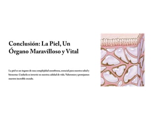 Conclusión: La Piel, Un
Órgano Maravilloso y Vital
La piel es un órgano de una complejidad asombrosa, esencial para nuestra salud y
bienestar. Cuidarla es invertir en nuestra calidad de vida. Valoremos y protejamos
nuestro increíble escudo.
 