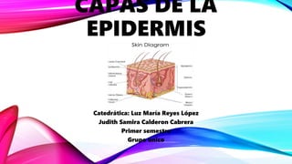 CAPAS DE LA
EPIDERMIS
Catedrática: Luz María Reyes López
Judith Samira Calderon Cabrera
Primer semestre
Grupo único
 
