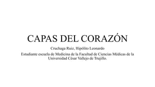 CAPAS DEL CORAZÓN
Cruchaga Ruiz, Hipólito Leonardo
Estudiante escuela de Medicina de la Facultad de Ciencias Médicas de la
Universidad César Vallejo de Trujillo.
 