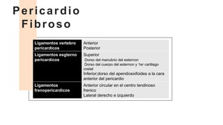 Pericardio
Fibroso
Ligamentos vertebro
pericardicos
Anterior
Posterior
Ligamentos esgterno
pericardicos
Superior
Dorso del manubrio del esternon
Dorso del cuerpo del esternon y 1er cartilago
costal
Inferior;dorso del apendicexifoides a la cara
anterior del pericardio
Ligamentos
frenopericardicos
Anterior circular en el centro tendinoso
frenico
Lateral derecho e izquierdo
 