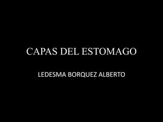 CAPAS DEL ESTOMAGO 
LEDESMA BORQUEZ ALBERTO 
 