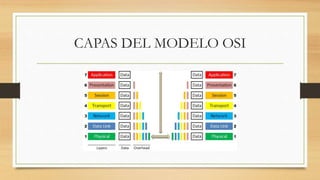 CAPAS DEL MODELO OSI
 