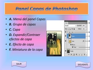 • A. Menú del panel Capas 
• B. Grupo de capas 
• C. Capa 
• D. Expandir/Contraer 
efectos de capa 
• E. Efecto de capa 
• F. Miniatura de la capa 
SALIR SIGUIENTE 
 