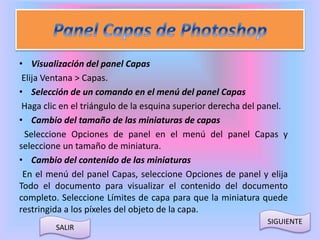 • Visualización del panel Capas 
Elija Ventana > Capas. 
• Selección de un comando en el menú del panel Capas 
Haga clic en el triángulo de la esquina superior derecha del panel. 
• Cambio del tamaño de las miniaturas de capas 
Seleccione Opciones de panel en el menú del panel Capas y 
seleccione un tamaño de miniatura. 
• Cambio del contenido de las miniaturas 
En el menú del panel Capas, seleccione Opciones de panel y elija 
Todo el documento para visualizar el contenido del documento 
completo. Seleccione Límites de capa para que la miniatura quede 
restringida a los píxeles del objeto de la capa. 
SIGUIENTE 
SALIR 
 