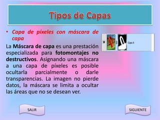• Capa de píxeles con máscara de 
capa 
La Máscara de capa es una prestación 
especializada para fotomontajes no 
destructivos. Asignando una máscara 
a una capa de píxeles es posible 
ocultarla parcialmente o darle 
transparencias. La imagen no pierde 
datos, la máscara se limita a ocultar 
las áreas que no se desean ver. 
SALIR SIGUIENTE 
 