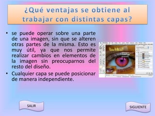 • se puede operar sobre una parte 
de una imagen, sin que se alteren 
otras partes de la misma. Esto es 
muy útil, ya que nos permite 
realizar cambios en elementos de 
la imagen sin preocuparnos del 
resto del diseño. 
• Cualquier capa se puede posicionar 
de manera independiente. 
SALIR SIGUIENTE 
 