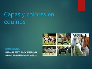 Capas y colores en
equinos
INTEGRANTES:
BUENAÑO PAICO, LUCÍA ALEJANDRA
BURGA GONZALES CARLOS MIGUEL
 