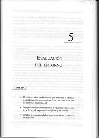 Capc3adtulo 5-libro-diagnostico-organizacional-de-elizabeth-vidal