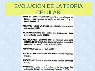 EVOLUCION DE LA TEORIA CELULAR 