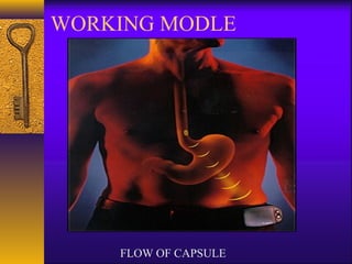 WORKING MODLE

FLOW OF CAPSULE

 