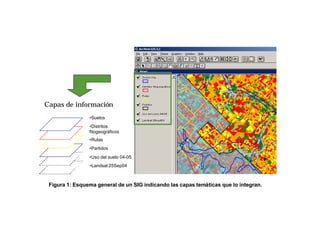 Capas de información
                •Suelos
                •Distritos
                fitogeográficos
                •Rutas
                •Partidos
                •Uso del suelo 04-05
                •Landsat 25Sep04



 Figura 1: Esquema general de un SIG indicando las capas temáticas que lo integran.
 