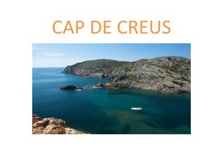 CAP DE CREUS
 