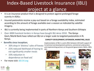 A brief overview of cross-cutting capacity development at ILRI