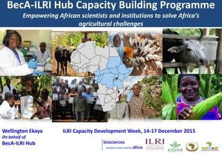 BecA-ILRI Hub Capacity Building
Programme
Empowering African scientists and institutions to solve Africa’s
agricultural challenges
Wellington Ekaya On behalf of BecA-ILRI Hub
ILRI Capacity Development Week, 14-17 December 2015
 