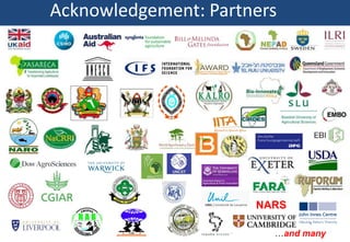 BecA-ILRI Hub capacity building program: Empowering African scientists and institutions to solve Africa’s agricultural challenges