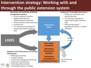 Intervention strategy: Working with and
through the public extension system
 