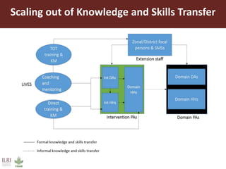 Scaling out of Knowledge and Skills Transfer
 