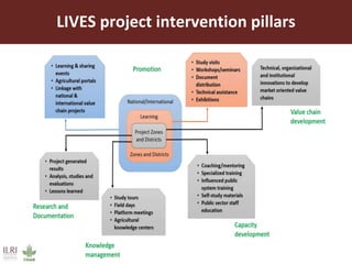 LIVES Capacity Development approaches and interventions