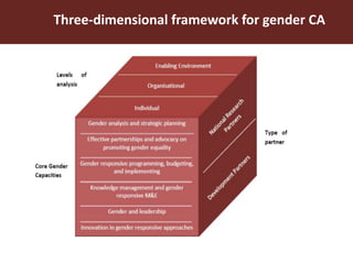 Three-dimensional framework for gender CA
 