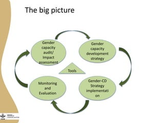 Developing and implementing an effective and efficient gender capacity development strategy for partners