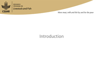 Developing and implementing an effective and efficient gender capacity development strategy for partners