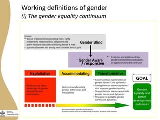 Developing and implementing an effective and efficient gender capacity development strategy for partners