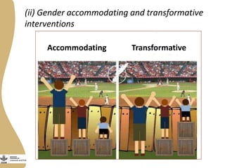Developing and implementing an effective and efficient gender capacity development strategy for partners