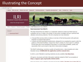 Instructional design at ILRI: Working with the Feed Assessment Tool (FEAST)