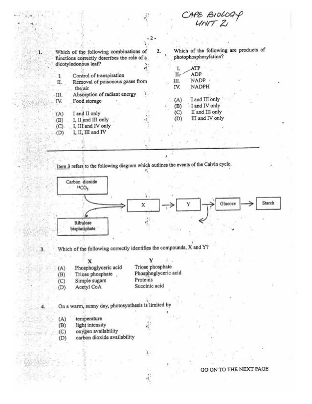 Unit onecape biology