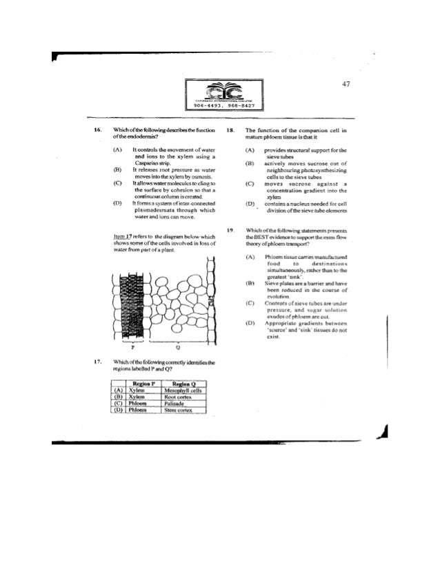 mman2400 june 2007 paper A level maths / edexcel / c3 past papers / edexcel – c3 june 2007 edexcel – c3 june 2007 paper info question paper: view official. mman2400 june 2007 paper A level maths / edexcel / c3 past papers / edexcel – c3 june 2007 edexcel – c3 june 2007 paper info question paper: view official.