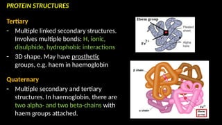 Multiple Secondary capebioreview.pptx Cape biology unit one | PPTX
