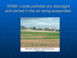 WIND: Loose particles are dislodged
and carried in the air being suspended.
 
