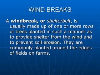 WIND BREAKS
A windbreak, or shelterbelt, is
 usually made up of one or more rows
 of trees planted in such a manner as
 to provide shelter from the wind and
 to prevent soil erosion. They are
 commonly planted around the edges
 of fields on farms.
 