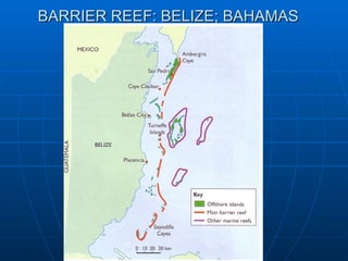 BARRIER REEF: BELIZE; BAHAMAS
 