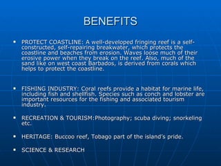 BENEFITS
   PROTECT COASTLINE: A well-developed fringing reef is a self-
    constructed, self-repairing breakwater, which protects the
    coastline and beaches from erosion. Waves loose much of their
    erosive power when they break on the reef. Also, much of the
    sand like on west coast Barbados, is derived from corals which
    helps to protect the coastline.


   FISHING INDUSTRY: Coral reefs provide a habitat for marine life,
    including fish and shellfish. Species such as conch and lobster are
    important resources for the fishing and associated tourism
    industry.

   RECREATION & TOURISM:Photography; scuba diving; snorkeling
    etc.

   HERITAGE: Buccoo reef, Tobago part of the island’s pride.

   SCIENCE & RESEARCH
 