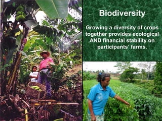 Healthy Soils Produce Healthy CropsComposting and bocashi			Worm composting