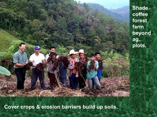 Other techniques taught by SHI include: Cover Crops 