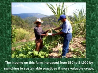 Integrated Pest Management