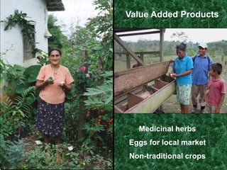  MulchSHI families live in small remote villages, and have had little or no access to education about alternative growing methods.  That is one of the greatest needs that SHI field trainers meet.