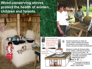 Reforestation and AgroforestrySHI helps families and community groups to grow trees from seeds in nurseries for later transplant onto farms and public land.SHI participants plant a variety of hardwood, fruit, spice and other types of trees.