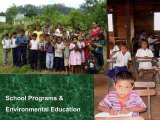 Shade coffee forest farm beyond ag. plots. Cover crops & erosion barriers build up soils.