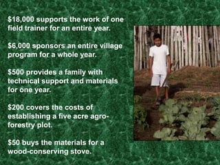 Chicken coops keep chickens and eggs safe from predators