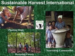 Small Fish Pondsalso improve nutrition and income.