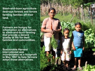 Many farmers still practice slash and burn, because ash acts as a fertilizer and fire clears the land.However, it also leads to more soil washing away and more contamination of soil and water, especially if pesticides are involved.Cattle grazing can add to the problem because of soil compaction and the need for more open pasture.