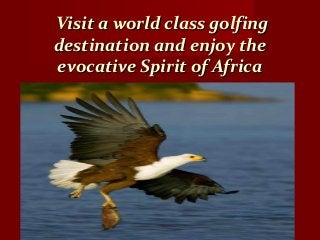 Visit a world class golfingVisit a world class golfing
destination and enjoy thedestination and enjoy the
evocative Spirit of Africaevocative Spirit of Africa
 