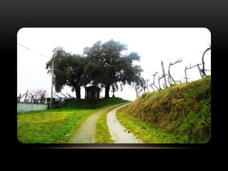 Capelinha dos milagres